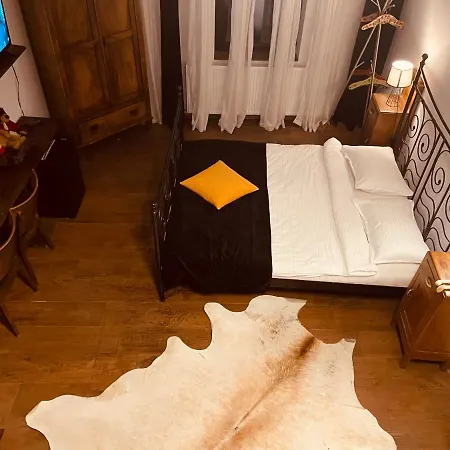 Guest house Casa Pisica Noastra *