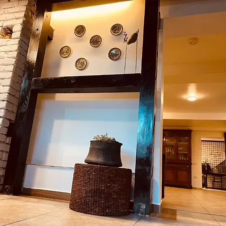 Casa Pisica Noastra Guest house *