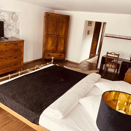 Casa Pisica Noastra Guest house