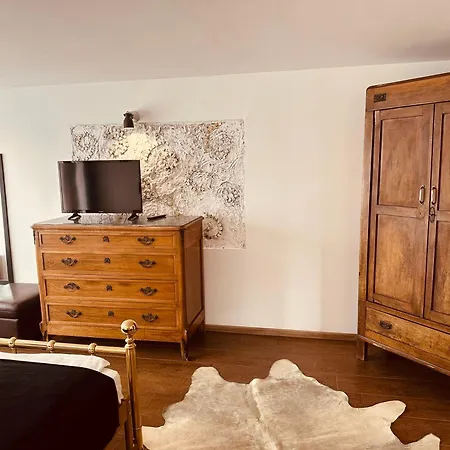 Guest house Casa Pisica Noastra