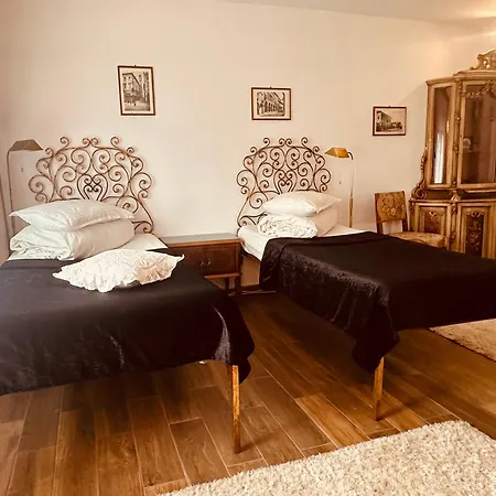 Casa Pisica Noastra Guest house Breaza (Prahova)